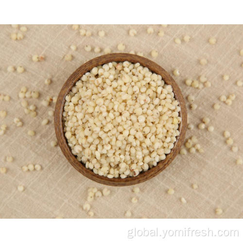 Grains Near Me Sweet Sorghum Rice Manufactory